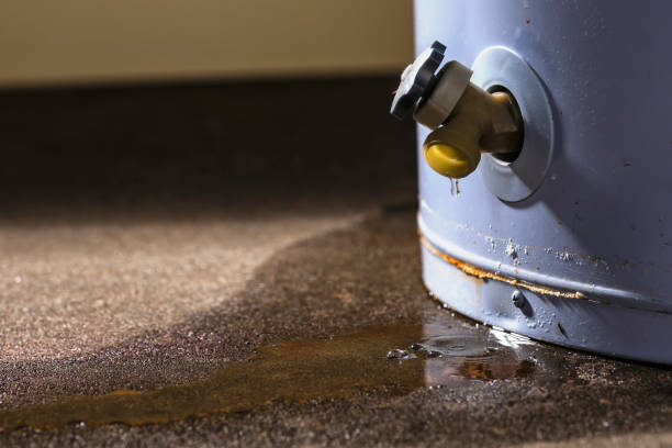 Water damage restoration mold remediation in FL
