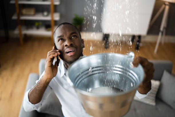 Best Water damage restoration near me  in Port Orange, FL