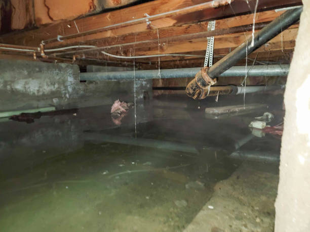 Best Flooded house restoration  in Port Orange, FL