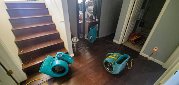 Best 24-hour water damage restoration  in Port Orange, FL