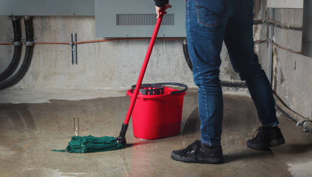 Professional Water damage restoration in FL