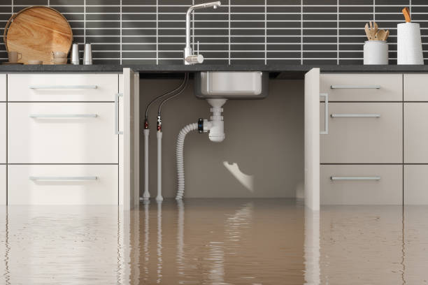 Best Flooded house restoration  in Port Orange, FL