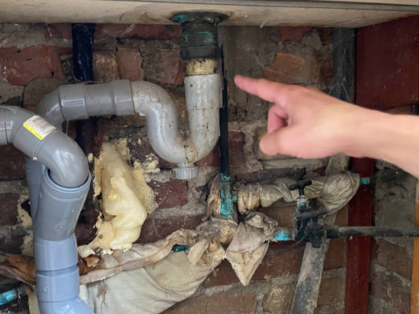 Best Sewage cleanup and water damage restoration  in Port Orange, FL